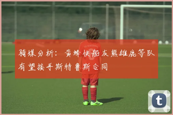 骑媒分析：黄蜂快船灰熊雄鹿等队有望接手斯特鲁斯合同